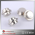 Custom-made Neodymium Rare Earth Magnet